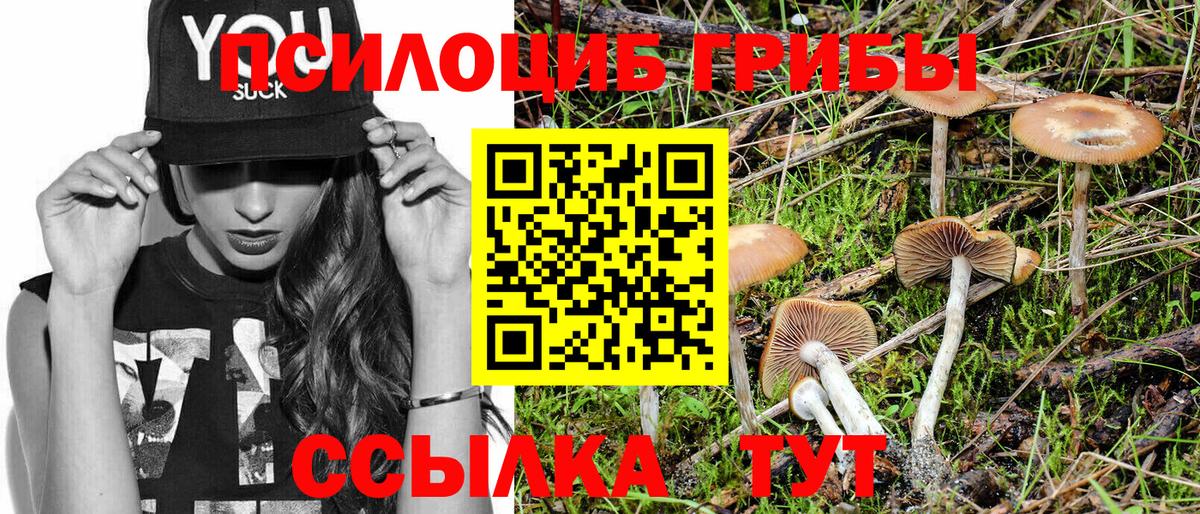 Галлюциногенные грибы Psilocybe Елизово
