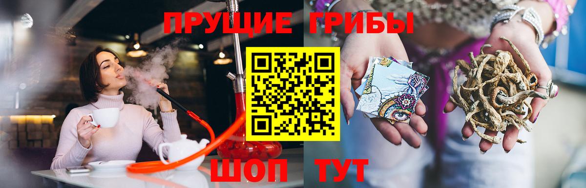 Галлюциногенные грибы Psilocybe  Вход с VPN  Елизово 